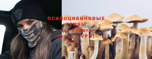 хмурый Усолье-Сибирское